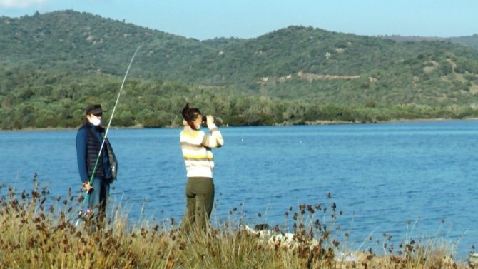 Flamingolar Bodrum’a çok erken geldi