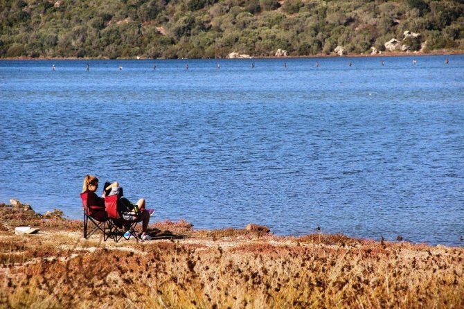Flamingolar Bodrum’a çok erken geldi