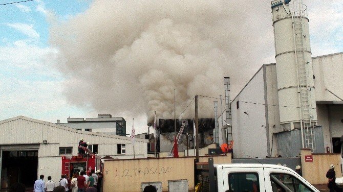Halı Saha Çimi Üreten Fabrikada Korkutan Yangın