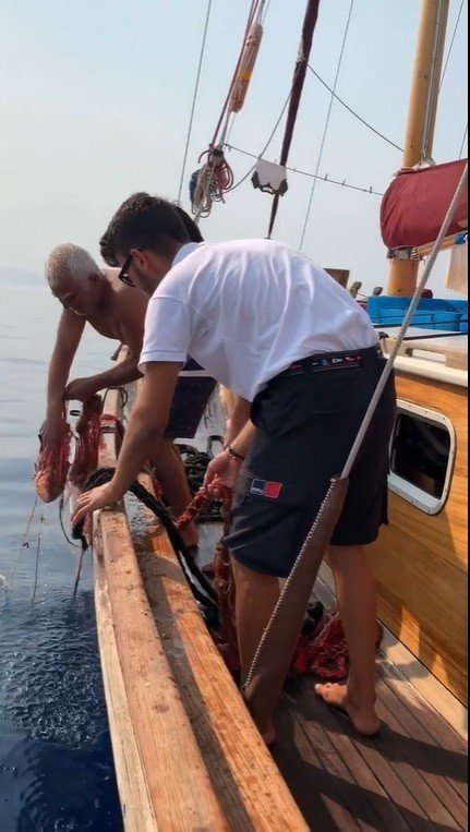 Hayalet ağlara dolanan orfozu kurtardı