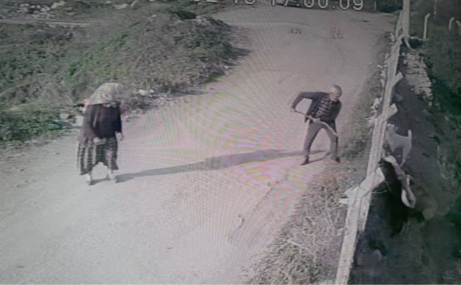 Hem kameralar hem de veteriner o anı yakaladı