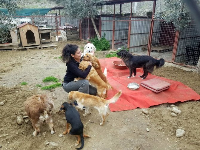 Hem kameralar hem de veteriner o anı yakaladı