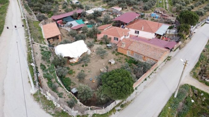 Hem kameralar hem de veteriner o anı yakaladı