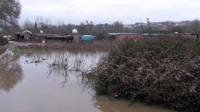 Kemerburgaz'da kÃ¶pek eÄitim merkezini sel bastÄ±: 8 kÃ¶pek Ã¶ldÃ¼ ile ilgili gÃ¶rsel sonucu
