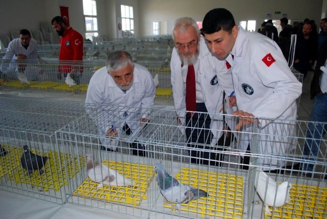 Kafes güzelleri Manisa’da podyuma çıktı