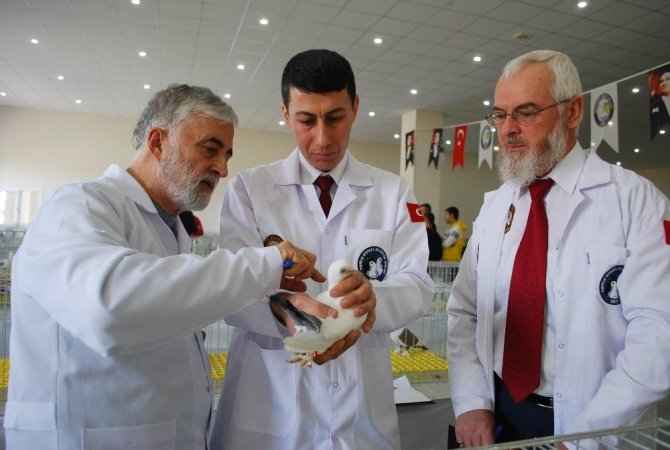 Kafes güzelleri Manisa’da podyuma çıktı