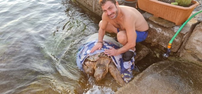 Kaplumbağa için seferber oldular