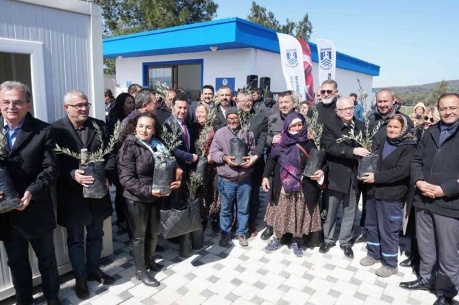 Konser gelirleri zeytin ağacına dönüştü