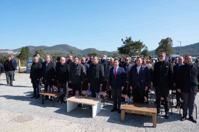 Konser gelirleri zeytin ağacına dönüştü