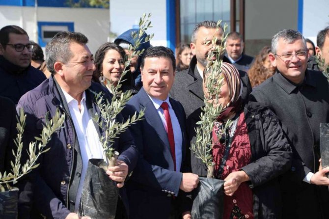 Konser gelirleri zeytin ağacına dönüştü