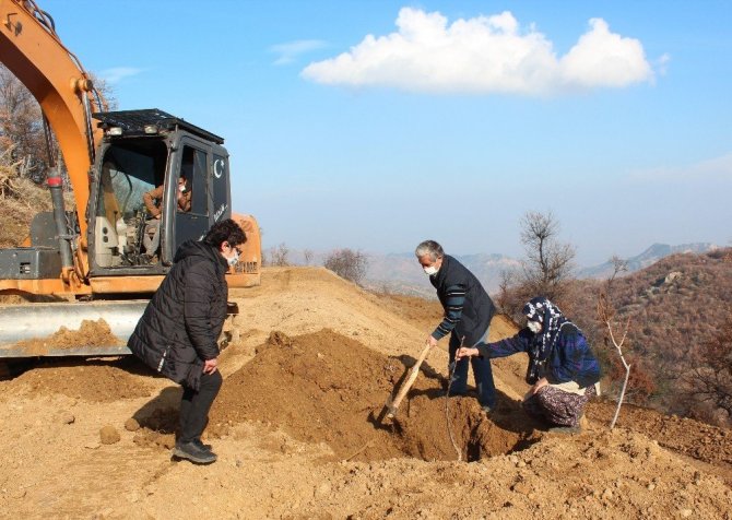 Küresel ısınmaya karşı ceviz fidanlı önlem
