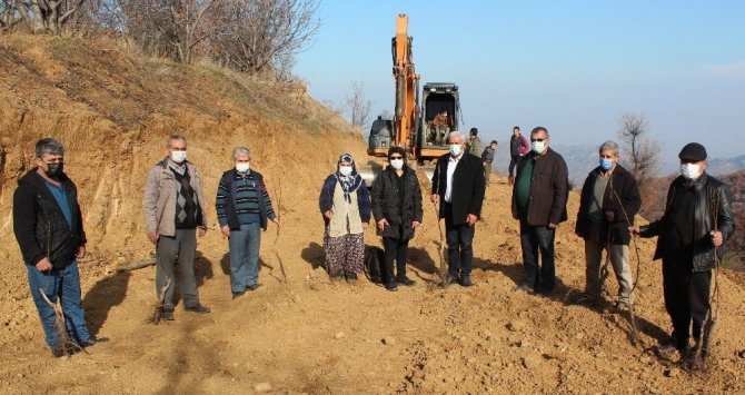 Küresel ısınmaya karşı ceviz fidanlı önlem