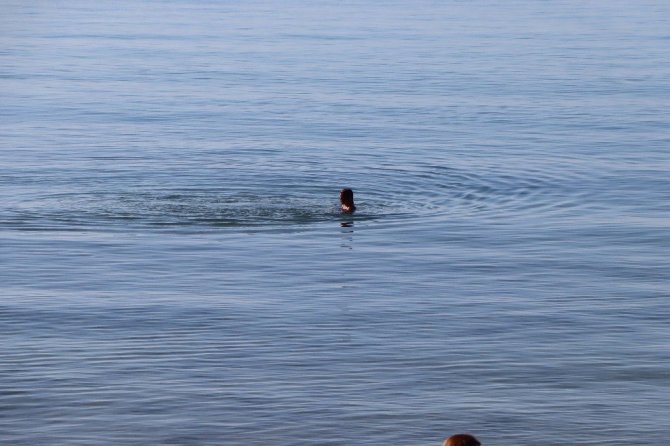 Kuşadası’nda güneşi gören plaja koştu