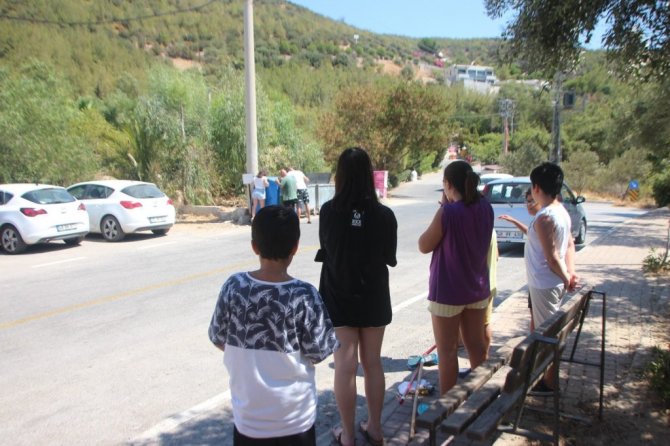 Mahalleli zehirlenen canlar için ayağa kalktı