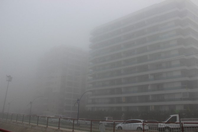 Manisa’yı sis kapladı