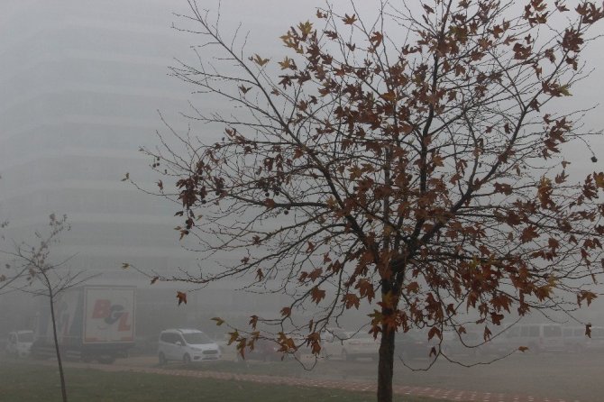 Manisa’yı sis kapladı