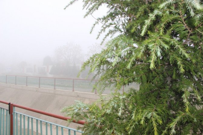 Manisa’yı sis kapladı