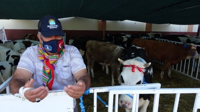 MHP’den Manavgat’a büyükbaş ve küçükbaş hayvan desteği