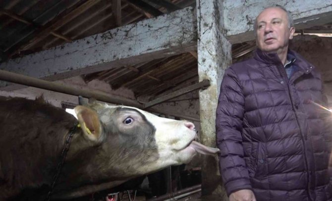 Muharrem İnce’den ahırda basın toplantısı