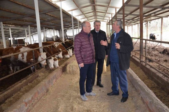 Muharrem İnce’den ahırda basın toplantısı