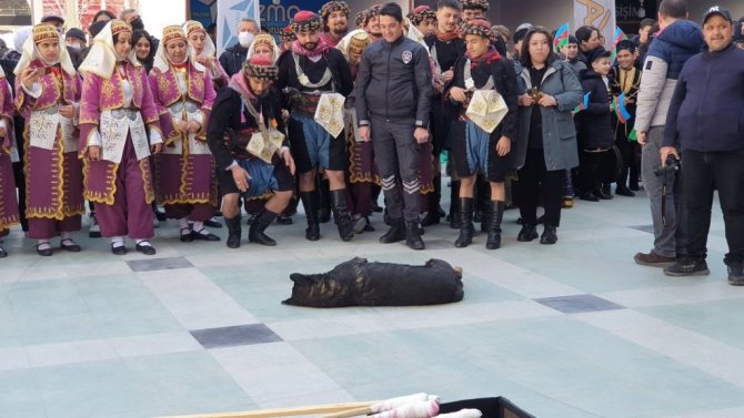 Nevruzda sevimli köpek ilgi odağı oldu