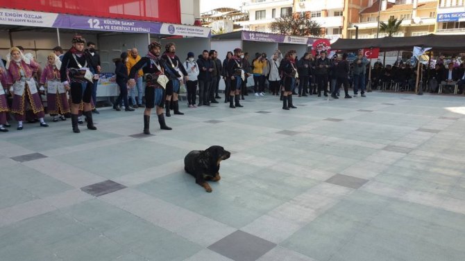 Nevruzda sevimli köpek ilgi odağı oldu