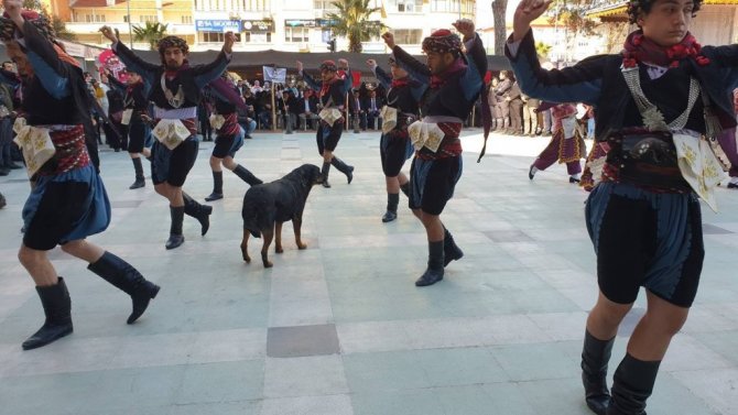 Nevruzda sevimli köpek ilgi odağı oldu