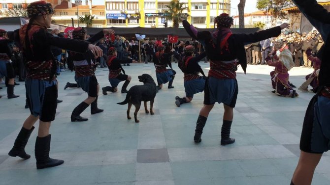 Nevruzda sevimli köpek ilgi odağı oldu
