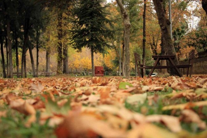 Pınarbaşı sonbaharın renklerine büründü