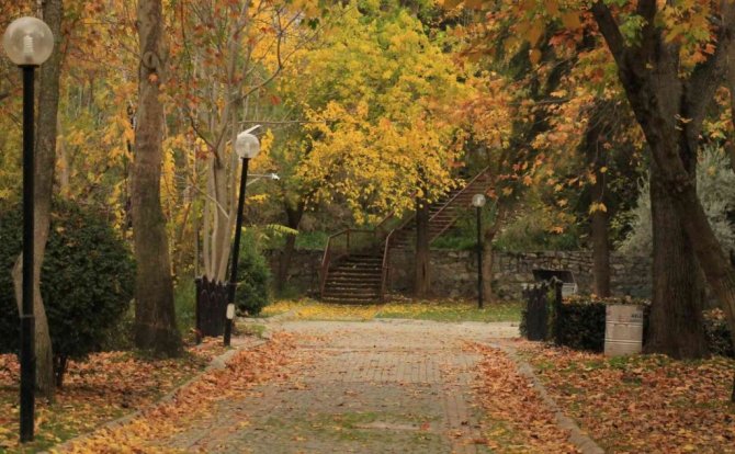 Pınarbaşı sonbaharın renklerine büründü