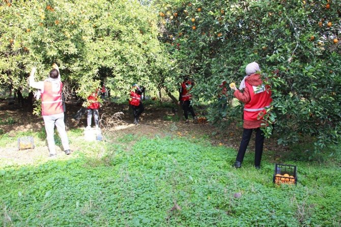 Sağlık çalışanlarına ’portakal’ dopingi