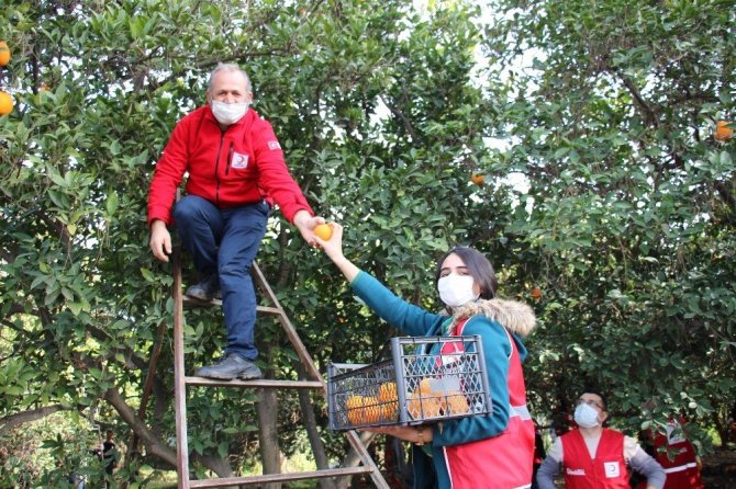 Sağlık çalışanlarına ’portakal’ dopingi