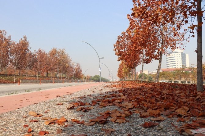 Sahipsiz hazan güzelliği görenleri cezp ediyor