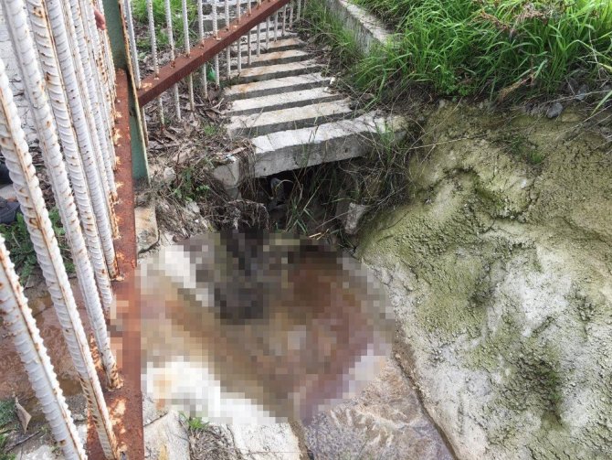 Sokak ortasından akan kanlı su paniğe neden oldu