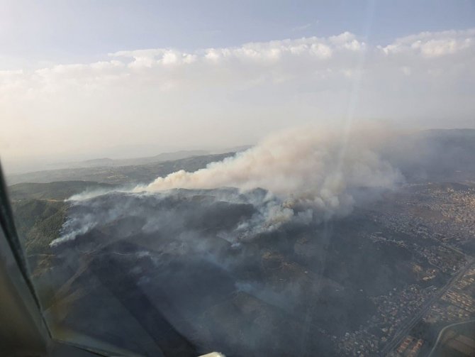 Söke’deki yangın Dilek Yarımadası Milli Parkı’nı tehdit ediyor