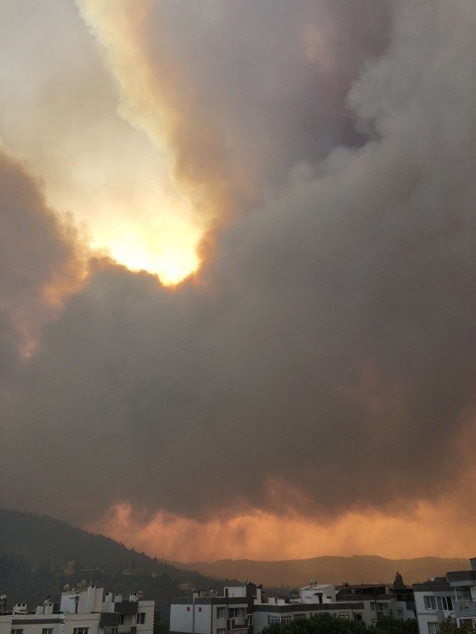 Söke’deki yangın Dilek Yarımadası Milli Parkı’nı tehdit ediyor
