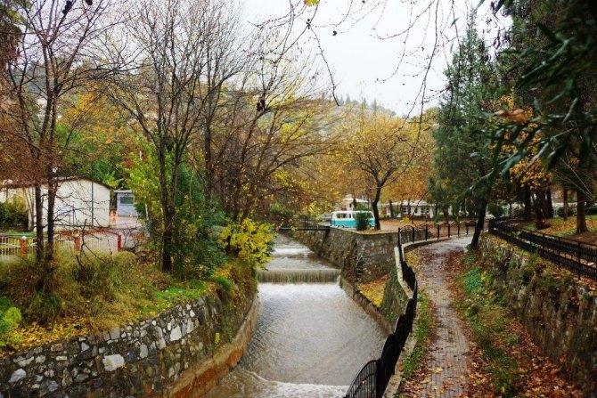 Sonbahara veda edemeyen şehir, sarıya büründü