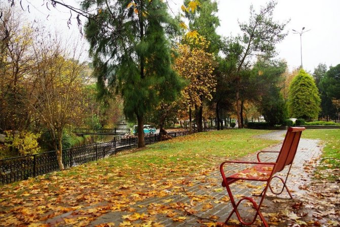 Sonbahara veda edemeyen şehir, sarıya büründü