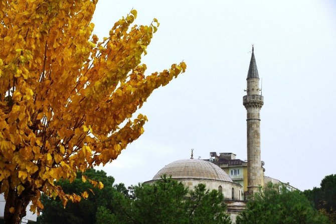 Sonbahara veda edemeyen şehir, sarıya büründü