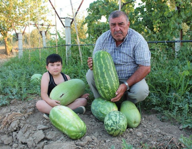 Suudi Arabistan’da tadına baktı Türkiye’de üretti