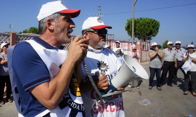 Tariş İşçileri Greve Başladı
