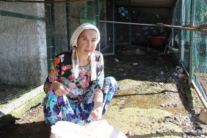 Ünlü manken tüm mal varlığını satıp köye yerleşmişti; ağlaya ağlaya köy hayatını bıraktı