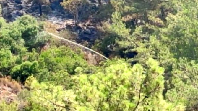 Yangının sivil kahramanları