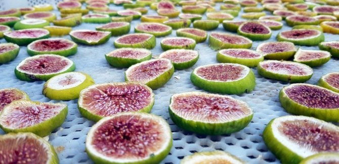 Yeğenleri için üretti, şimdi dünyaya satıyor