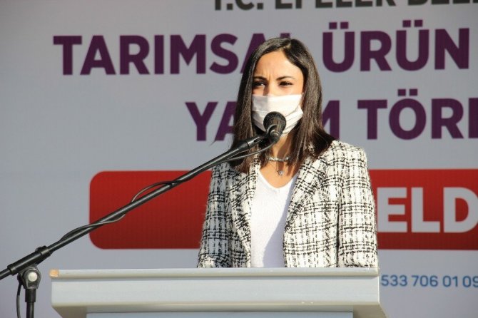 Yöresel ürünler, Efelerli kadınların ellerinde şekillenecek